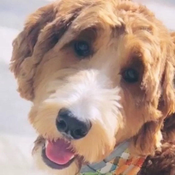 Meet your Posher, Jon - Picture 1 of 1